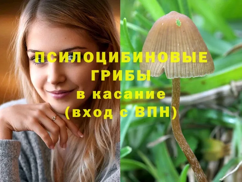 Галлюциногенные грибы MAGIC MUSHROOMS  Набережные Челны 